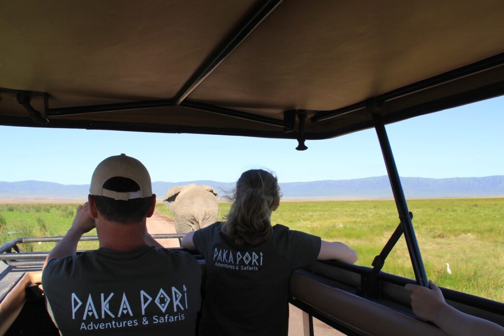 Safari Tansania